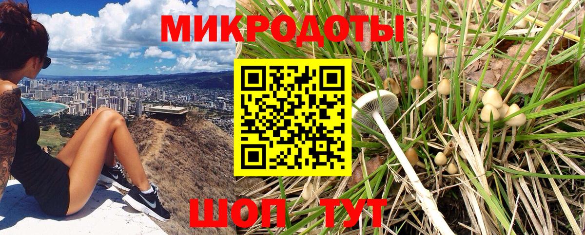 Псилоцибиновые грибы прущие грибы Гай