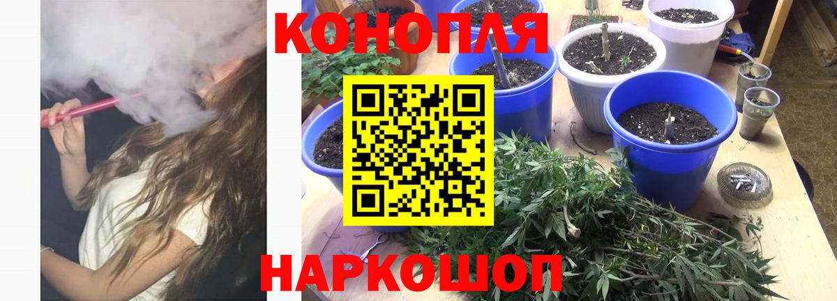 Гай  Конопля Bruce Banner  Вход с VPN  Бошки Шишки THC 21% 